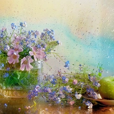 Cosmos, composition, Apple, Rain, Forget, Flowers