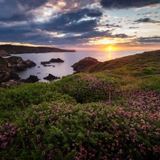 Bay of Biscay, Spain, Briar, Great Sunsets, Coast, Asturias