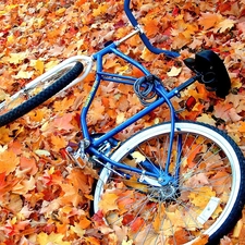 Meadow, Leaf, Bike, Autumn