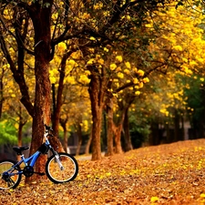 fallen, Autumn, blue, Bike, Leaf, Park