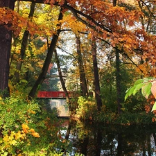 color, Park, bridge, lake, Leaf, autumn