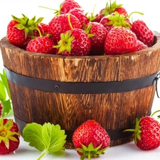 strawberries, Bucket