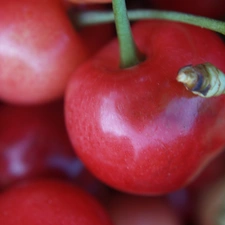 cherries, Mature, Red