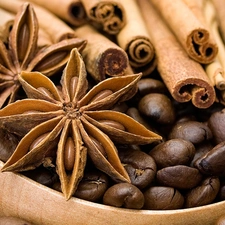 cinnamon, anise, coffee, spice, grains