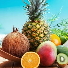 kiwi, avocado, Mango, ananas, Fruits, Coconut, orange