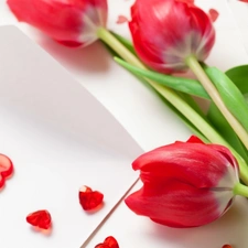bouquet, hearts, composition, tulips