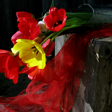 composition, Tulips, bouquet
