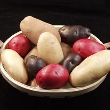 Different colored, Potatoes