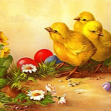 Easter, eggs, Flowers, chickens