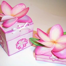 Flowers, frangipani, gifts, Artificial, Boxes