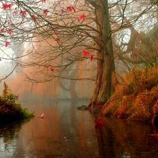 Fog, River, autumn