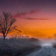 Way, Great Sunsets, Fog, Field