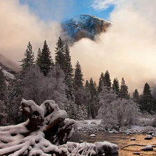 trees, Mountains, Fog, winter, viewes, River