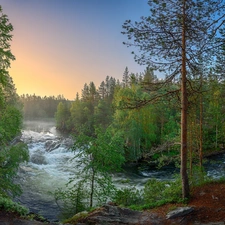 Lapland, Finland, Kitkajoki River, Oulanka National Park, trees, viewes, forest, River, Spring