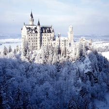 forest, Castle, winter