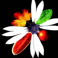 fruits, composition, flowers