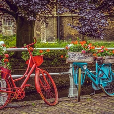 blue, Bikes, Flowers, Red, Two cars, boxes, geraniums