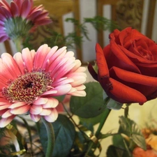 Gerbera, bouquet, rose