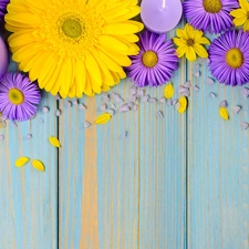 purple, Yellow, Candles, gerberas, Flowers, Astra, boarding