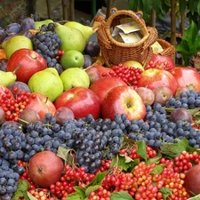 basket, harvest, truck concrete mixer, grape, apples