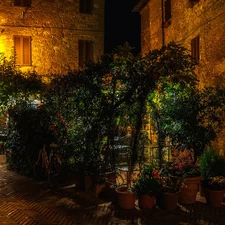 Street, Houses, pots, cafeteria, Plants, Tuscany, Italy, garden