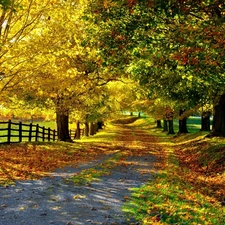 viewes, Autumn, Hurdle, Path, Field, trees