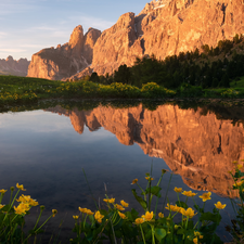 Pond - car, Dolomites, Flowers, reflection, Mountains, Yellow, Italy