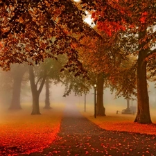 lanterns, Park, Leaf, autumn, Fog, Alleys