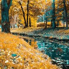 trees, River, Leaf, autumn, viewes, Park