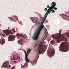 instruments, rose, Leaf, violin