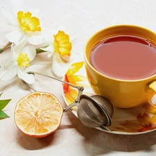 cup, Lemon, narcissus, tea