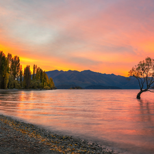 Great Sunsets, Wanaka Lake, trees, inclined, Mountains, New Zeland, Otago Region, viewes, trees, autumn, birds