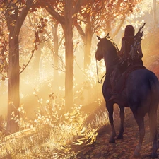 form, game, Horse, forest, rider, Assassins Creed Odyssey