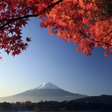 Mount, Japan, Red, Leaf, Fuji, mountains