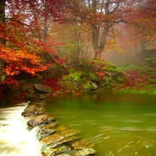 Red, Leaf, Green, water, River