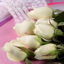 White, Box, Ribbons, roses