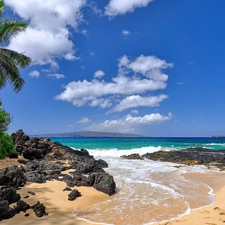 rocks, sea, VEGETATION, Beaches, Aloha State Hawaje, Palms, clouds