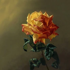 rose, picture, painting
