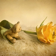 teddy bear, Yellow Honda, rose