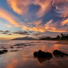 Palms, Great Sunsets, Beaches, sea, Aloha State Hawaje
