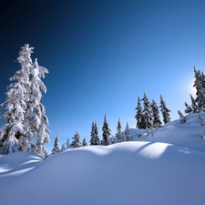 trees, snow, Sky, viewes