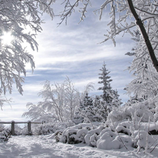 winter, viewes, snow, trees