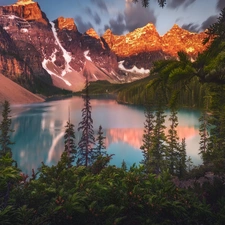 Banff National Park, Canada, Mountains, Lake Moraine, VEGETATION, reflection, trees, viewes, woods