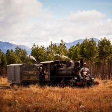 trees, viewes, Mountains, forest, locomotive