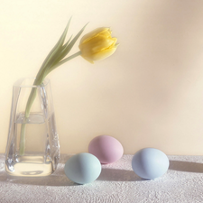 eggs, Vase, tulip, easter
