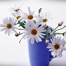 bouquet, blue, Vase, Camomile