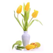 Yellow, White, vase, Tulips