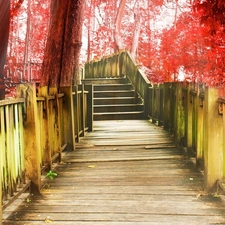 bridge, trees, viewes, Red