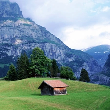viewes, cote, Meadow, trees, Mountains