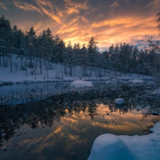 Ringerike Municipality, Norway, winter, snow, trees, viewes, lake, forest, Great Sunsets